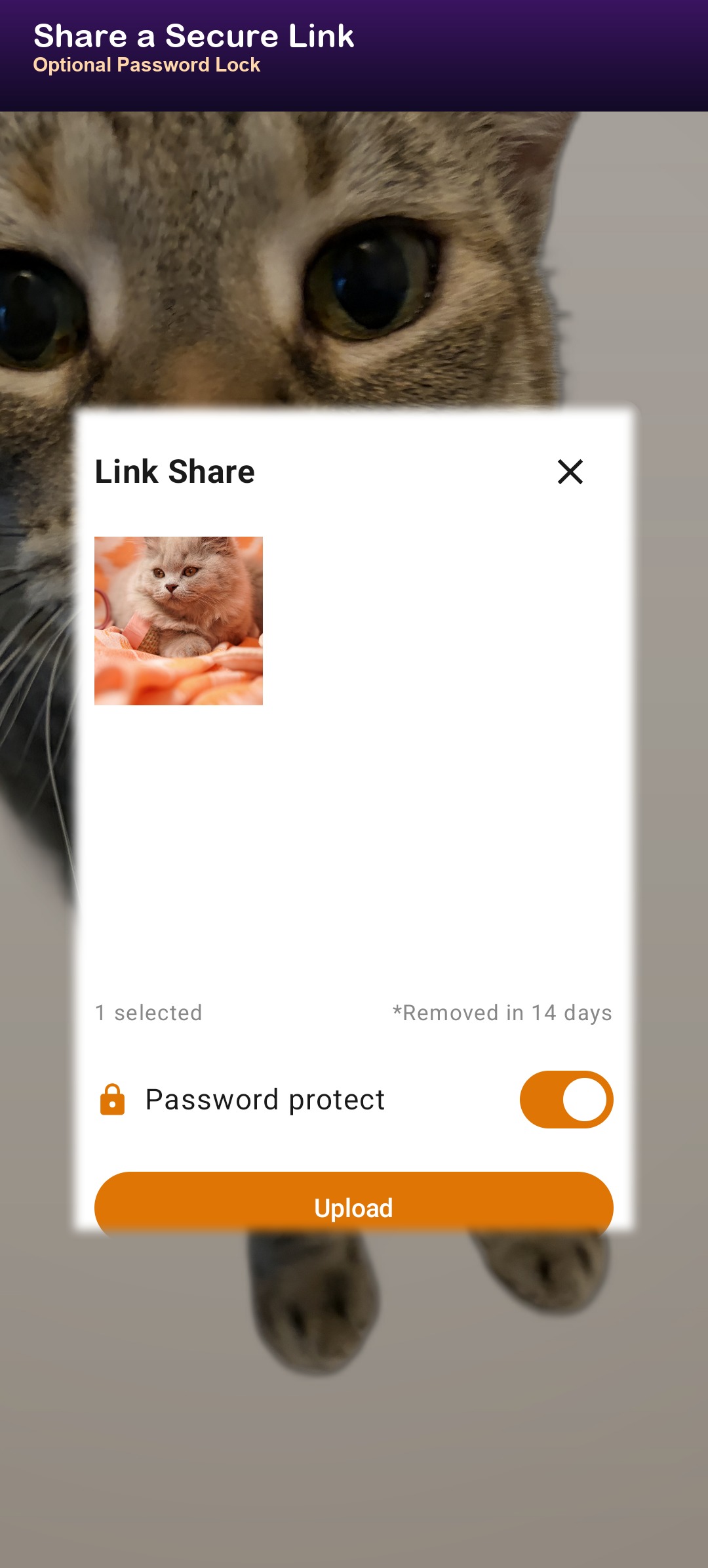 Apricamera100kb v3 - share a secure link with optional password lock