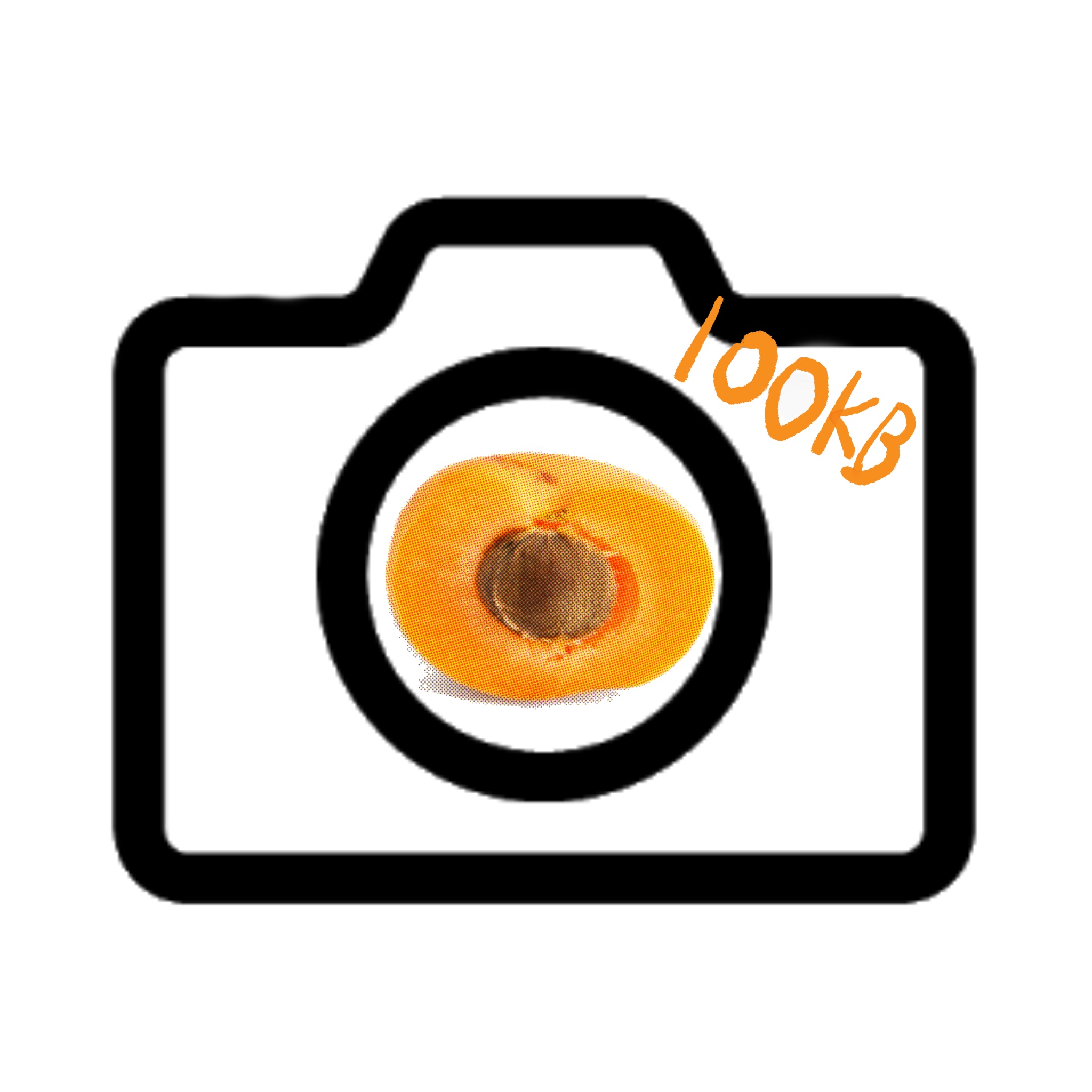 Apricamera 100KB Logo